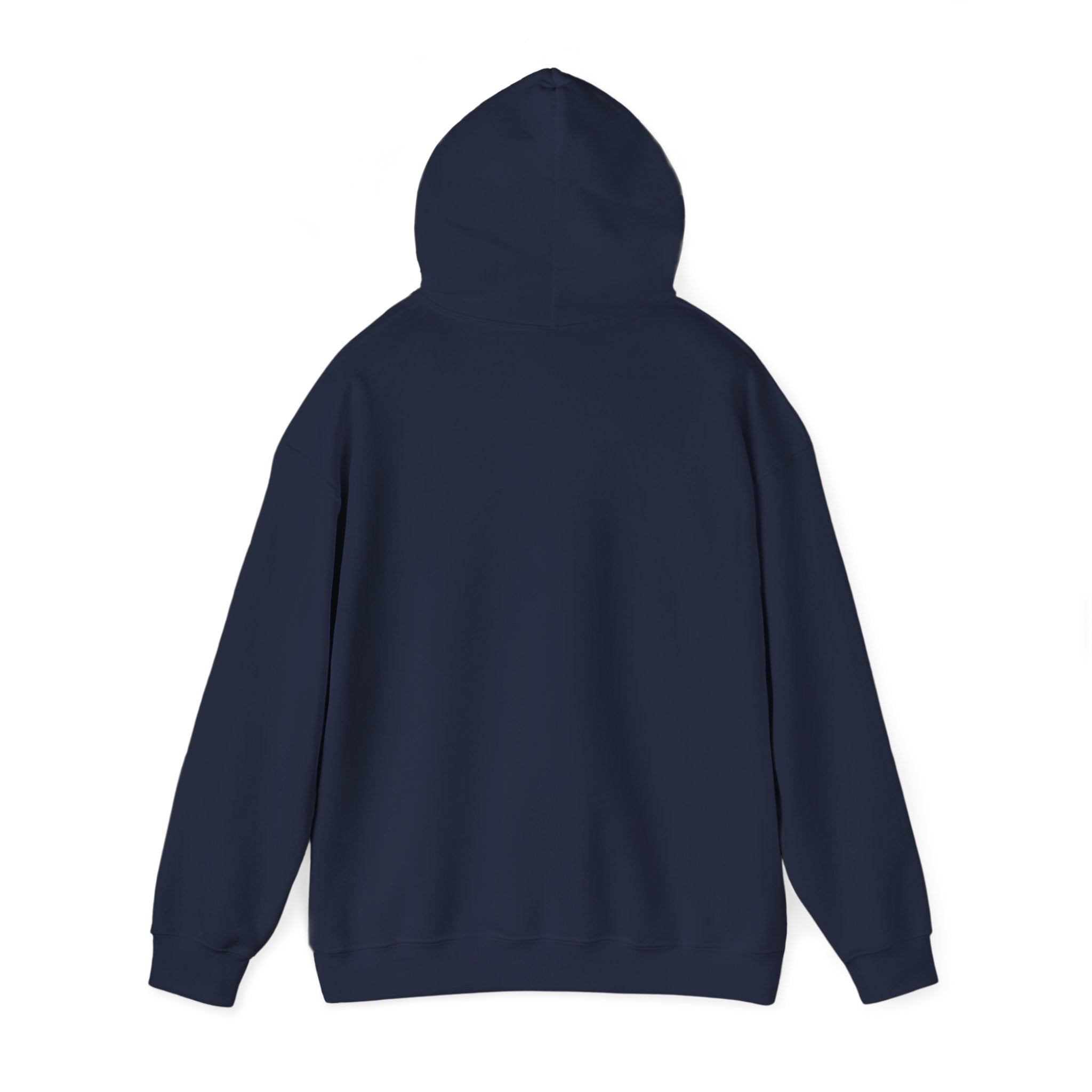 Faith Family Freedom Hoodie | faith-based patriotic, vintage Americana