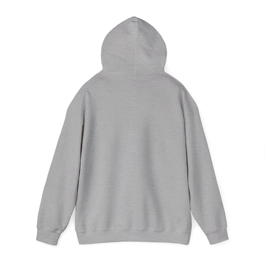 Faith Family Freedom Hoodie | faith-based patriotic, vintage Americana