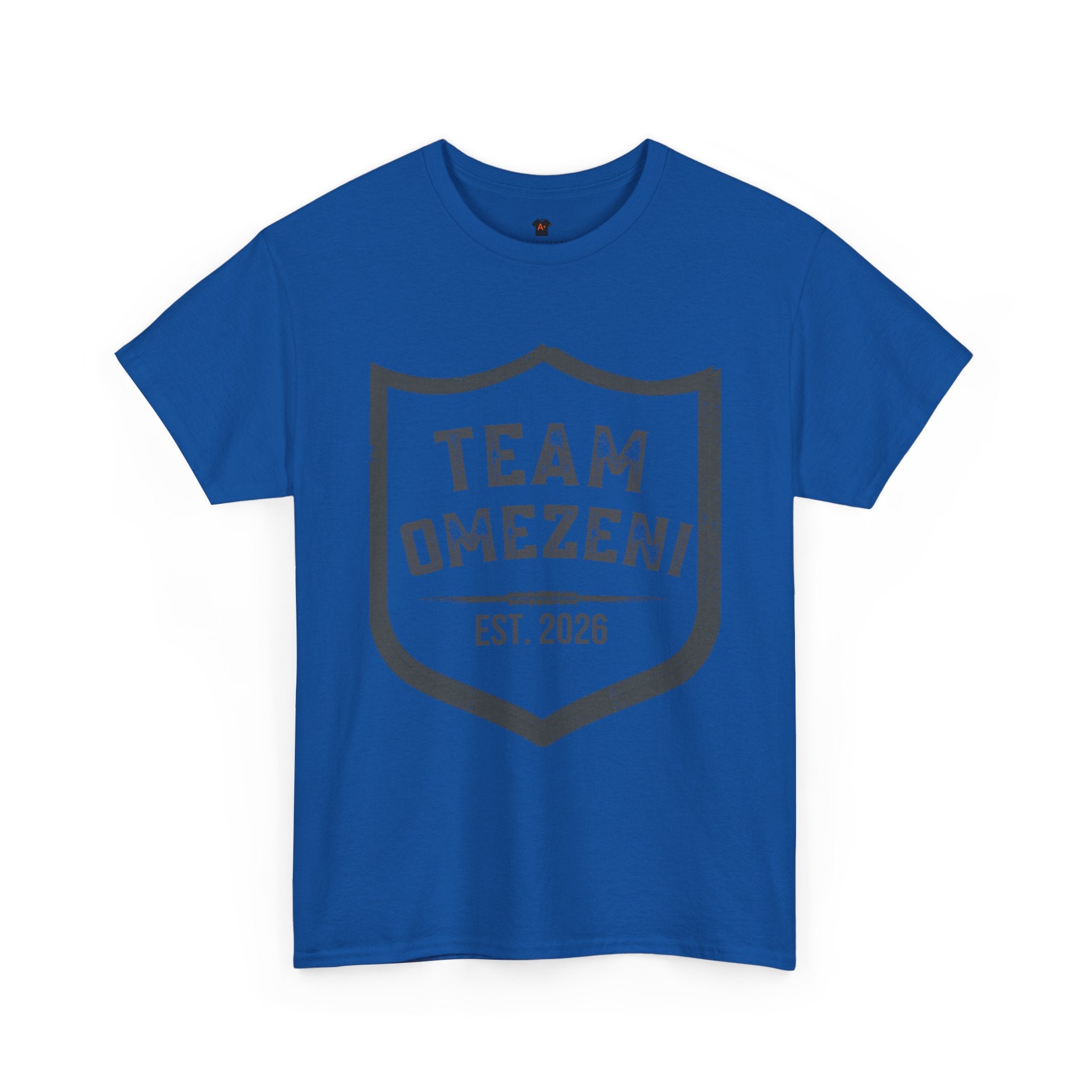 Team Brazeen Shield T-Shirt — Vintage Athletic Logo Tee