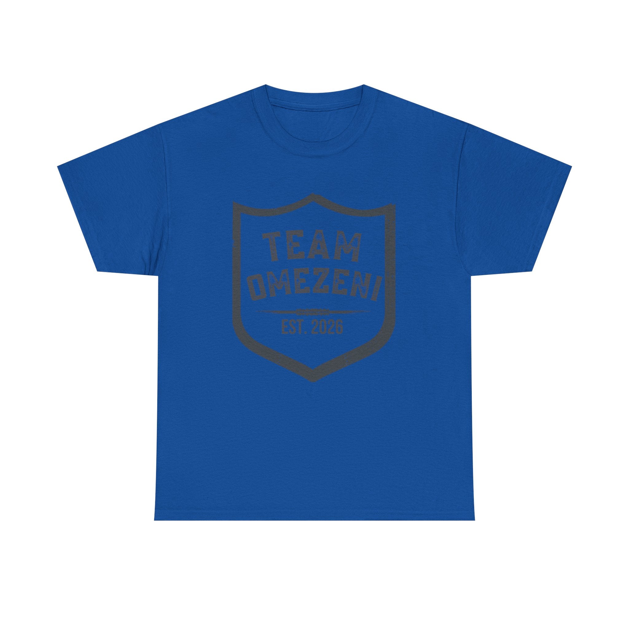 Team Dnezen Shield Tee — Vintage Athletic Graphic T‑Shirt