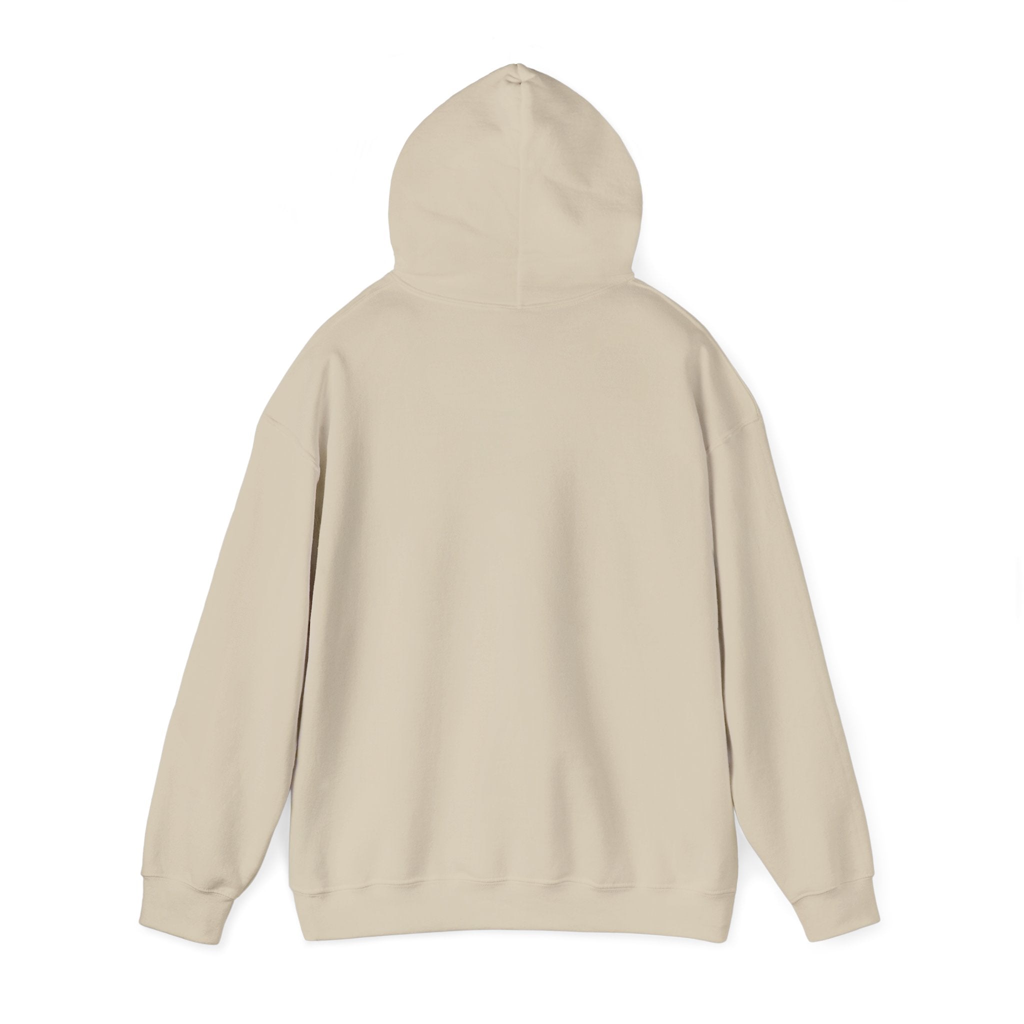 Faith Family Freedom Hoodie | faith-based patriotic, vintage Americana