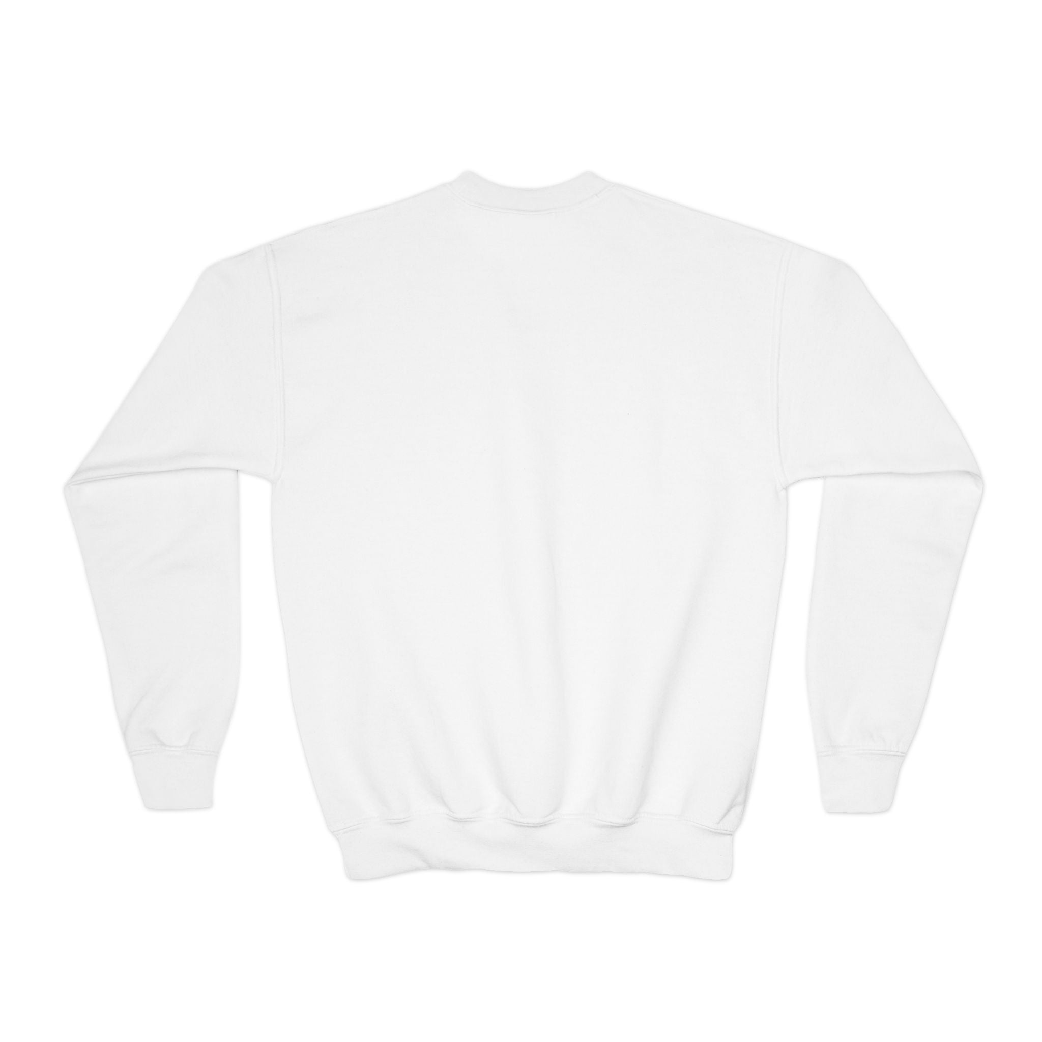 Youth Crewneck Sweatshirt — Gryffindor Crest Small Chest Logo, Kids Harry Potter School Spirit Pullover