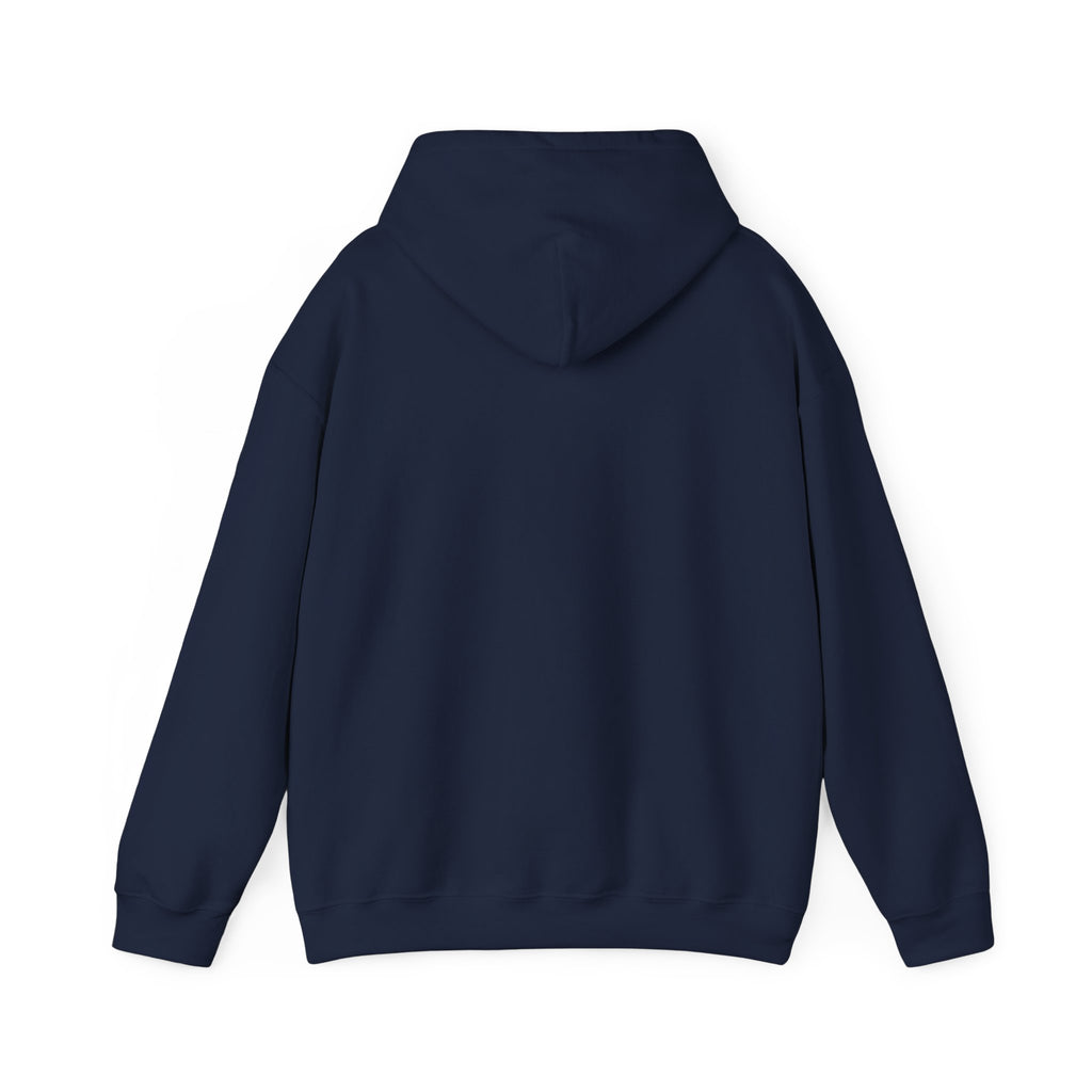 Faith Family Freedom Hoodie | faith-based patriotic, vintage Americana