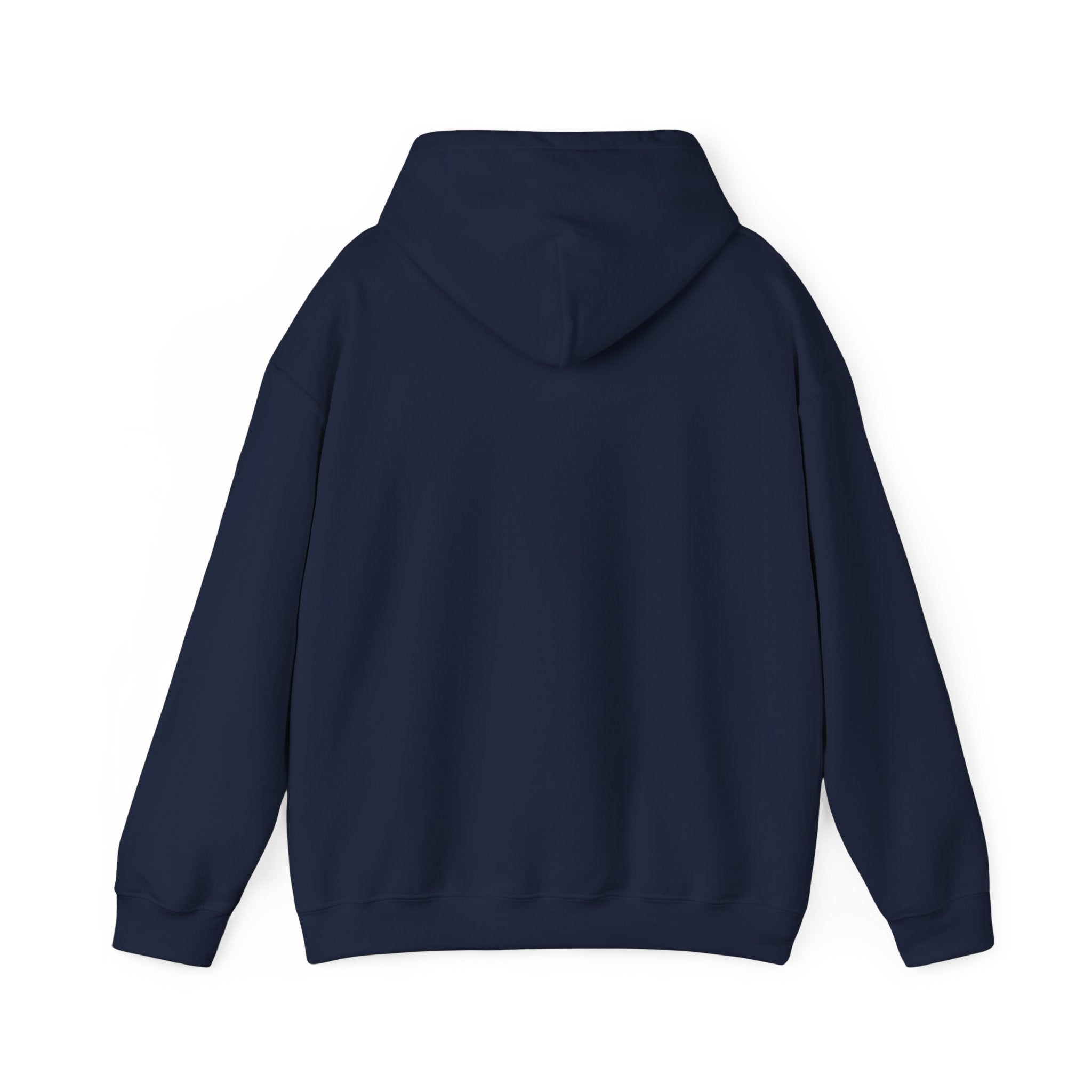 Faith Family Freedom Hoodie | faith-based patriotic, vintage Americana
